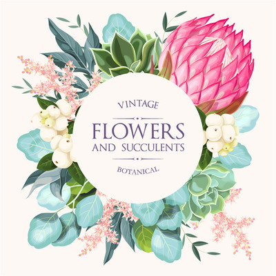 花卉與多肉植物的魅力與養護指南