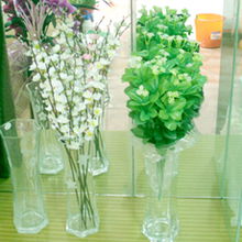 花與家的雙重饋贈 盱眙梅源花坊的產(chǎn)品美學(xué)與生活意趣