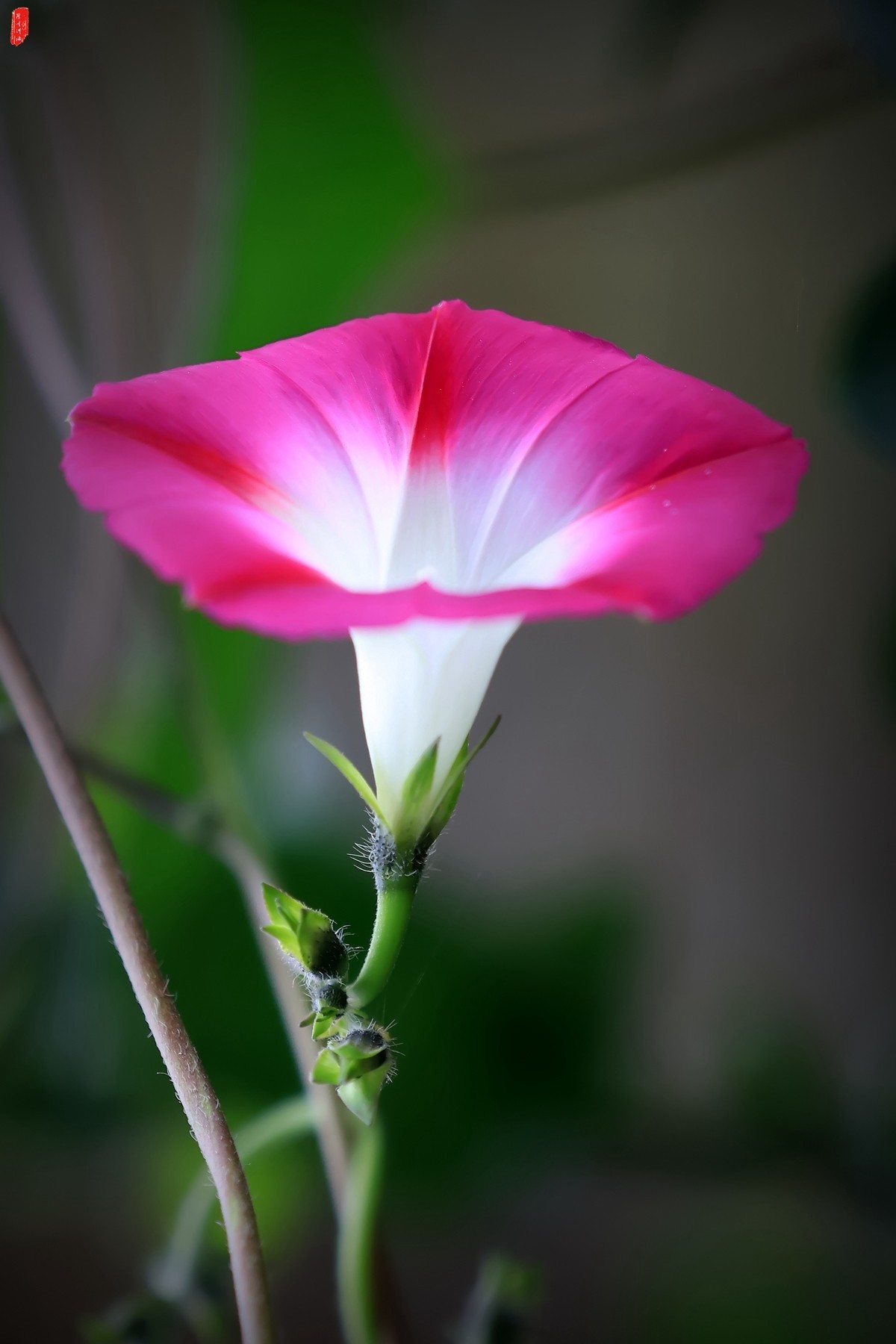 牽?；ㄐ∮? />
</span>
<span id=