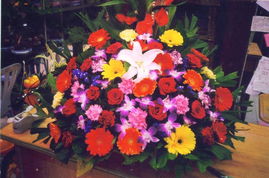 從鮮花用品到機(jī)械設(shè)備 多元業(yè)務(wù)的創(chuàng)新融合與市場展示